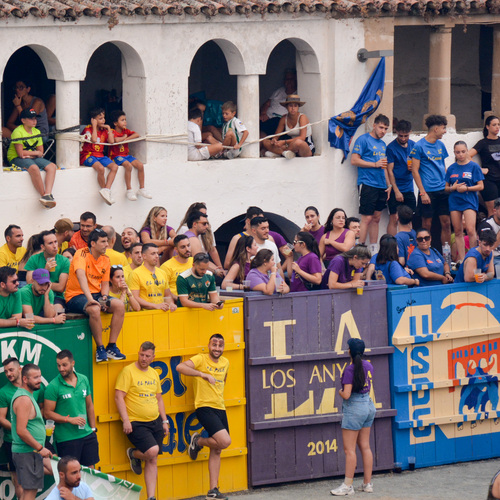Toros-192021Nk (4 de 11)